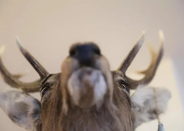 Hotel Berghaus Malbun 3*