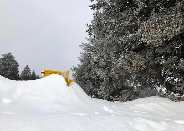 Berghaus Malbun Buchs (St. Gallen)