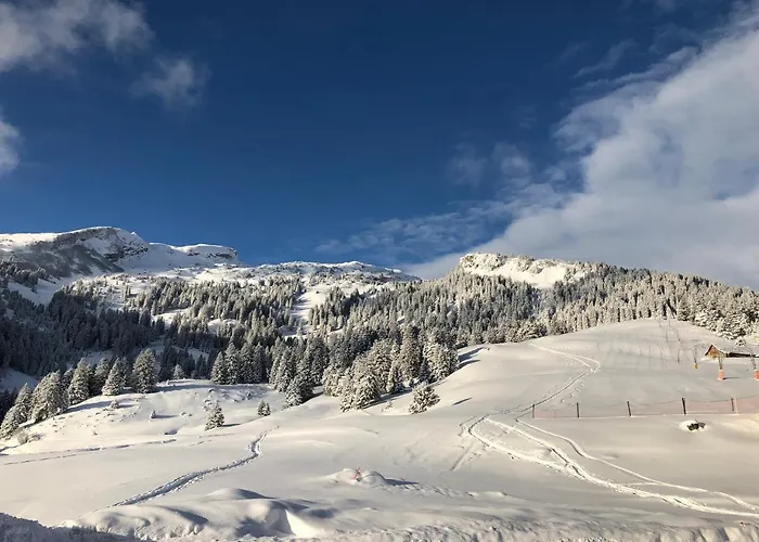 Hotel Berghaus Malbun 3*